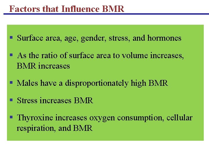 Factors that Influence BMR § Surface area, age, gender, stress, and hormones § As Factors that Influence BMR § Surface area, age, gender, stress, and hormones § As