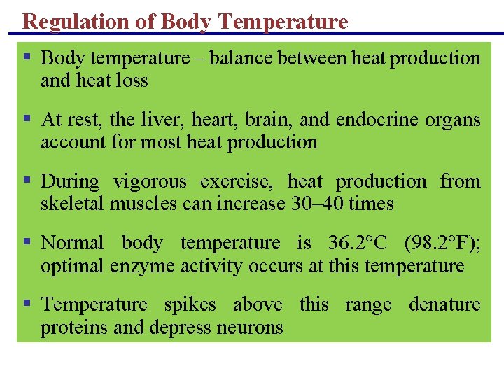 Regulation of Body Temperature § Body temperature – balance between heat production and heat Regulation of Body Temperature § Body temperature – balance between heat production and heat