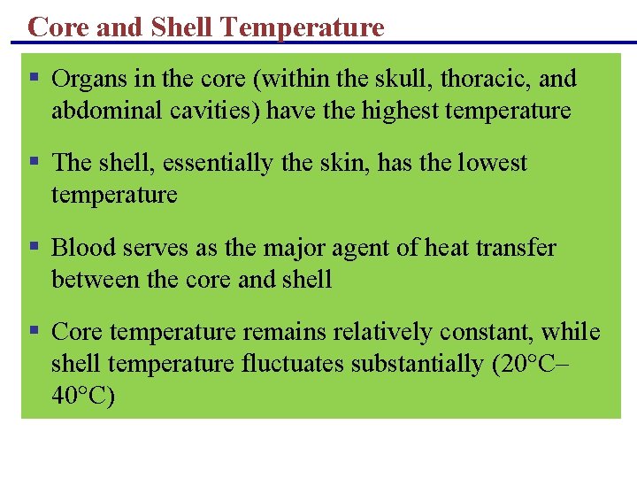 Core and Shell Temperature § Organs in the core (within the skull, thoracic, and Core and Shell Temperature § Organs in the core (within the skull, thoracic, and