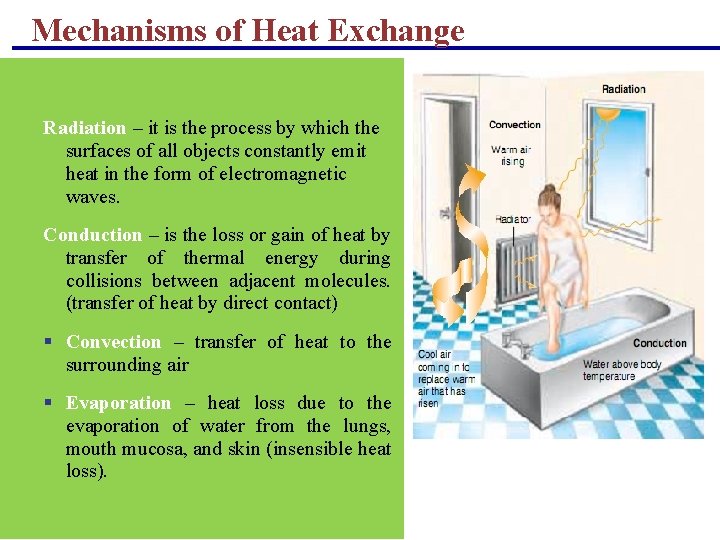 Mechanisms of Heat Exchange Radiation – it is the process by which the surfaces Mechanisms of Heat Exchange Radiation – it is the process by which the surfaces