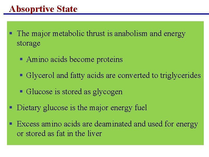Absoprtive State § The major metabolic thrust is anabolism and energy storage § Amino Absoprtive State § The major metabolic thrust is anabolism and energy storage § Amino