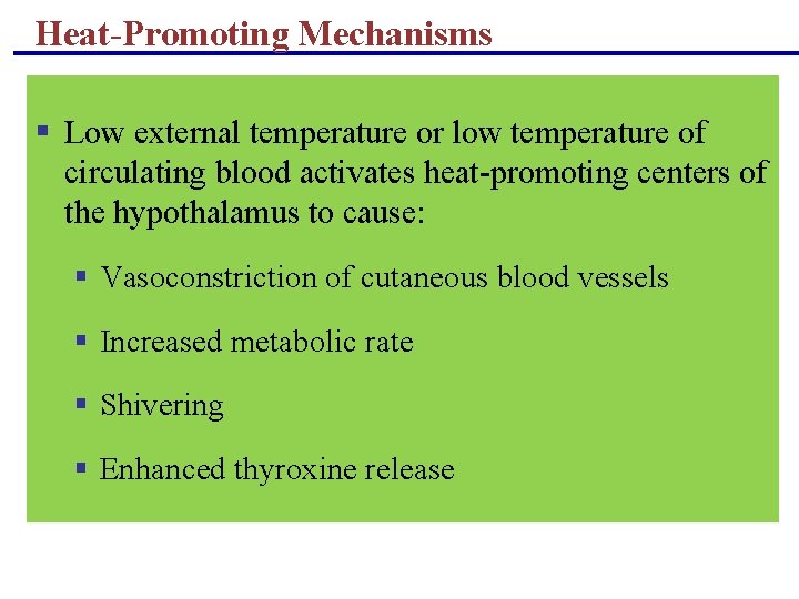 Heat-Promoting Mechanisms § Low external temperature or low temperature of circulating blood activates heat-promoting Heat-Promoting Mechanisms § Low external temperature or low temperature of circulating blood activates heat-promoting