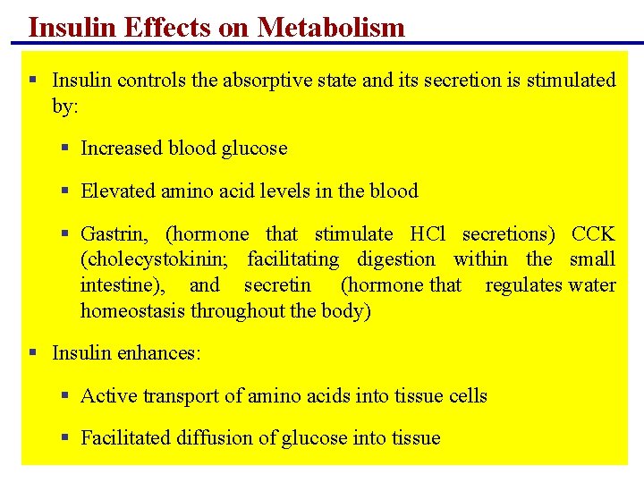 Insulin Effects on Metabolism § Insulin controls the absorptive state and its secretion is Insulin Effects on Metabolism § Insulin controls the absorptive state and its secretion is