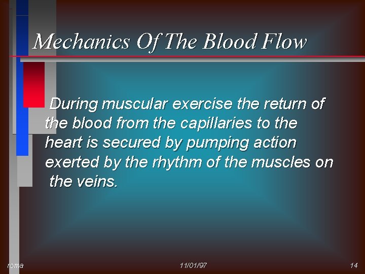 Mechanics Of The Blood Flow During muscular exercise the return of the blood from