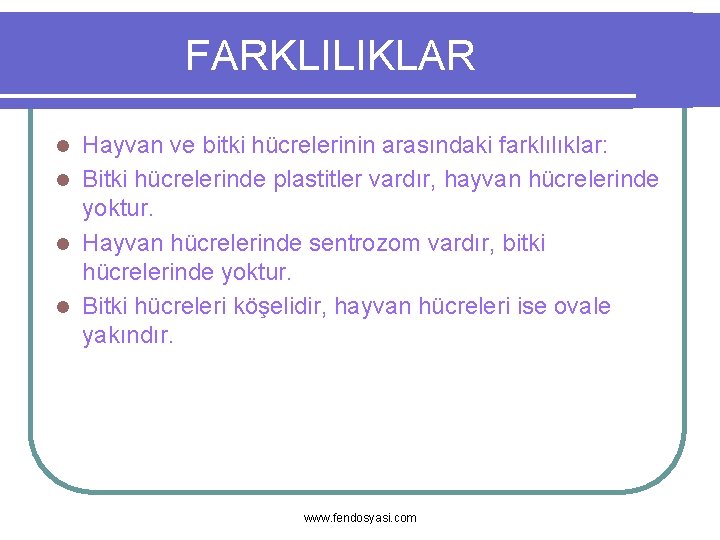 FARKLILIKLAR Hayvan ve bitki hücrelerinin arasındaki farklılıklar: l Bitki hücrelerinde plastitler vardır, hayvan hücrelerinde