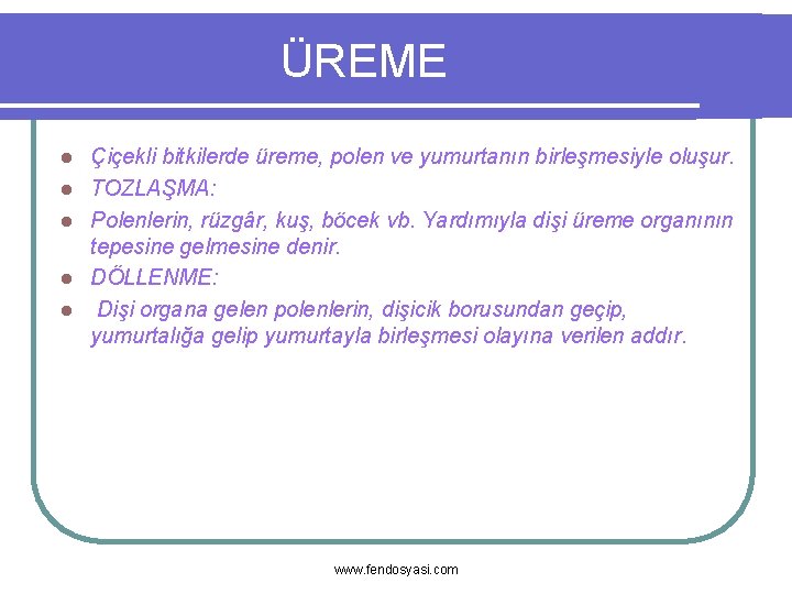 ÜREME l l l Çiçekli bitkilerde üreme, polen ve yumurtanın birleşmesiyle oluşur. TOZLAŞMA: Polenlerin,