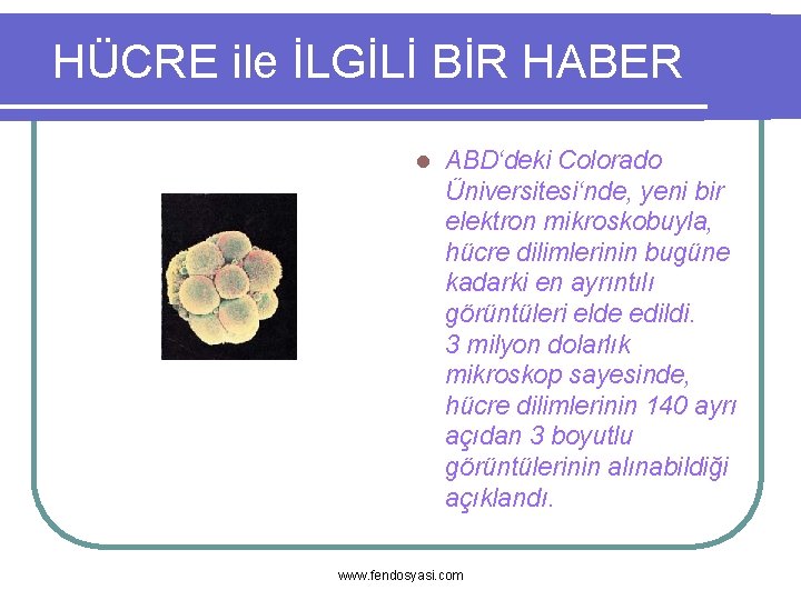 HÜCRE ile İLGİLİ BİR HABER l ABD‘deki Colorado Üniversitesi‘nde, yeni bir elektron mikroskobuyla, hücre