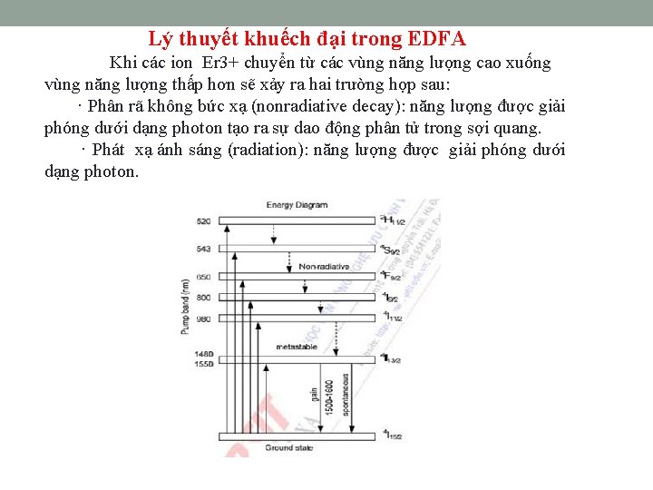 Lý thuyết khuếch đại trong EDFA Khi các ion Er 3+ chuyển từ các