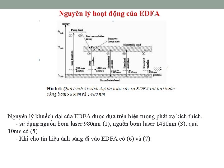 Nguyên lý hoạt động của EDFA Nguyên lý khuếch đại của EDFA được dựa