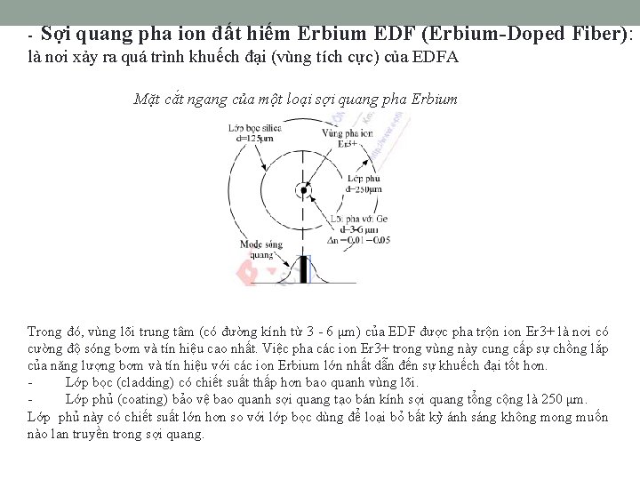 - Sợi quang pha ion đất hiếm Erbium EDF (Erbium-Doped Fiber): là nơi xảy