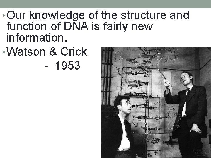  • Our knowledge of the structure and function of DNA is fairly new