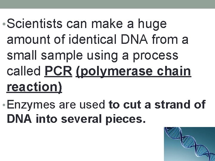  • Scientists can make a huge amount of identical DNA from a small
