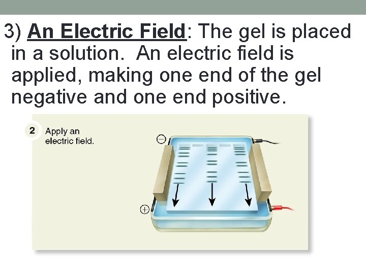 3) An Electric Field: The gel is placed in a solution. An electric field