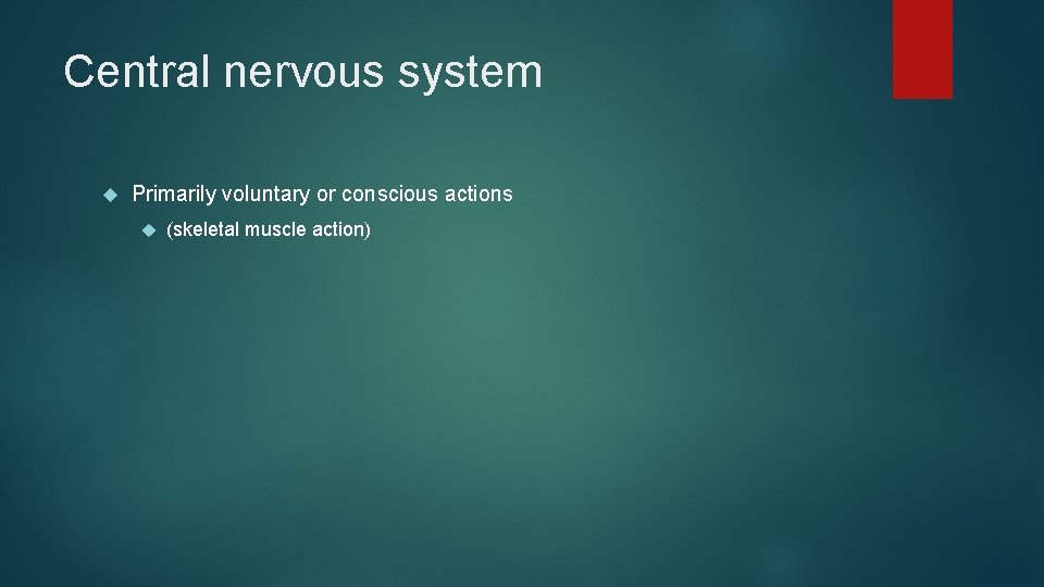 Central nervous system Primarily voluntary or conscious actions (skeletal muscle action) 
