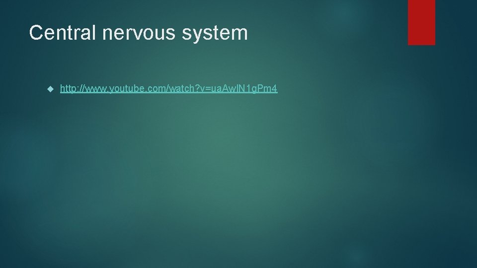 Central nervous system http: //www. youtube. com/watch? v=ua. Aw. IN 1 g. Pm 4