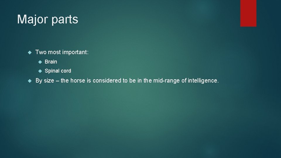 Major parts Two most important: Brain Spinal cord By size – the horse is