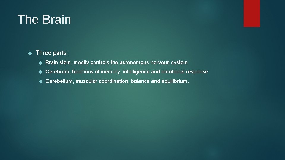 The Brain Three parts: Brain stem, mostly controls the autonomous nervous system Cerebrum, functions