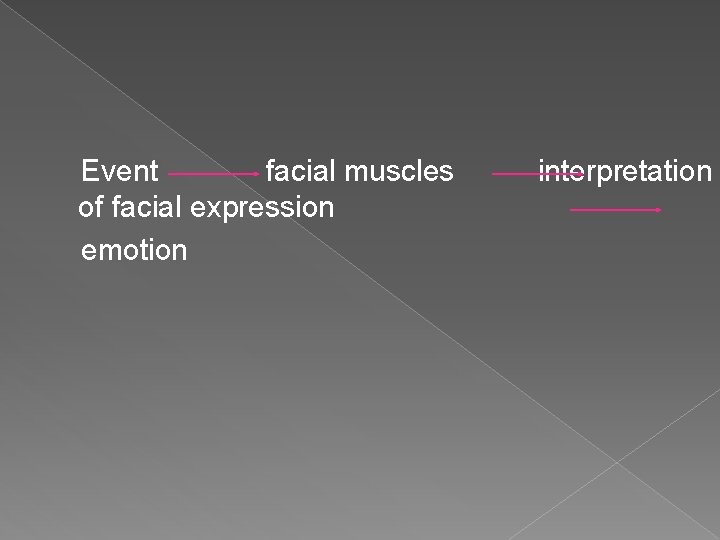 Event facial muscles of facial expression emotion interpretation 