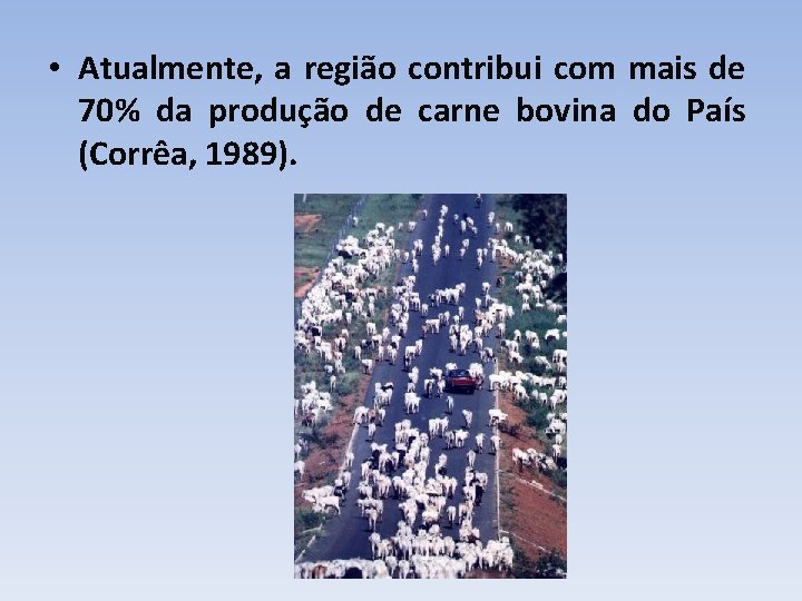  • Atualmente, a região contribui com mais de 70% da produção de carne