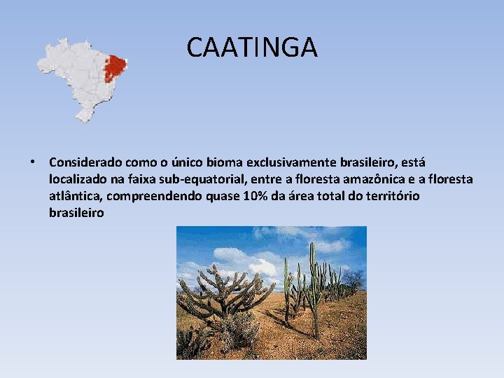 CAATINGA • Considerado como o único bioma exclusivamente brasileiro, está localizado na faixa sub-equatorial,