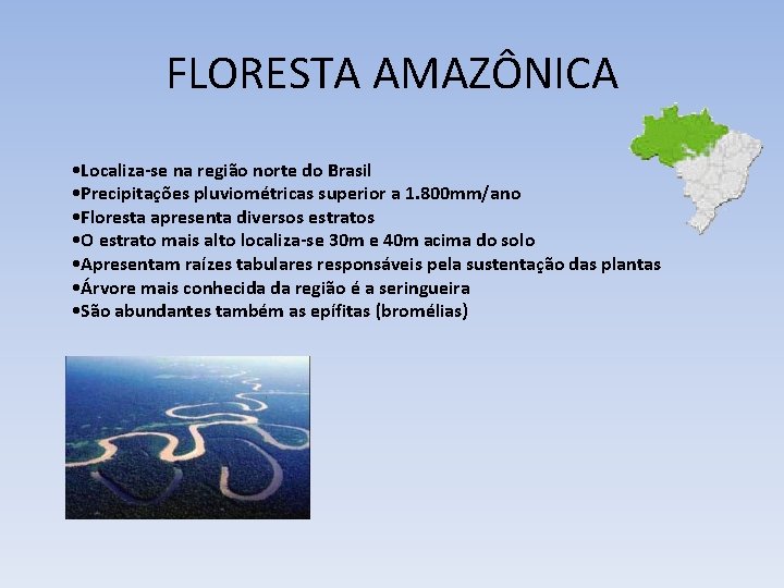 FLORESTA AMAZÔNICA • Localiza-se na região norte do Brasil • Precipitações pluviométricas superior a