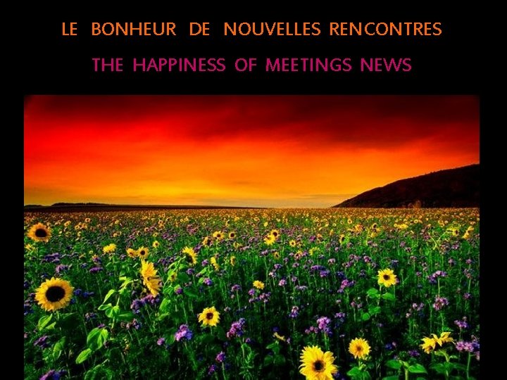 LE BONHEUR DE NOUVELLES RENCONTRES THE HAPPINESS OF MEETINGS NEWS 