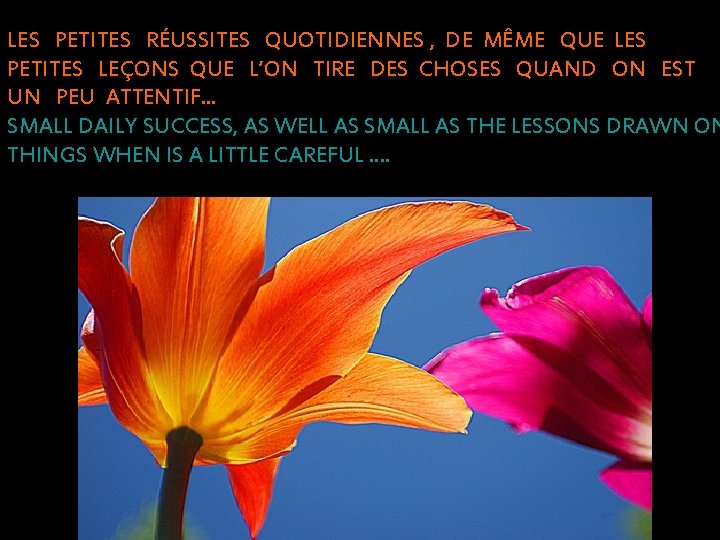 LES PETITES RÉUSSITES QUOTIDIENNES , DE MÊME QUE LES PETITES LEÇONS QUE L’ON TIRE