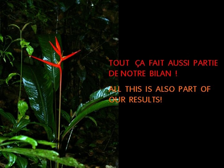 TOUT ÇA FAIT AUSSI PARTIE DE NOTRE BILAN ! ALL THIS IS ALSO PART