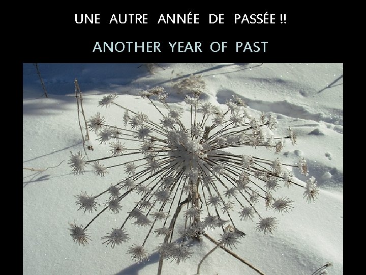 UNE AUTRE ANNÉE DE PASSÉE !! ANOTHER YEAR OF PAST 