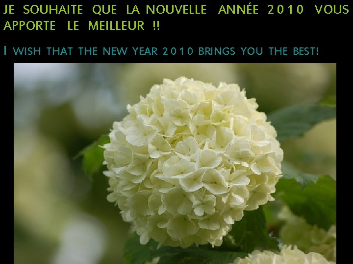 JE SOUHAITE QUE LA NOUVELLE ANNÉE 2 0 1 0 VOUS APPORTE LE MEILLEUR