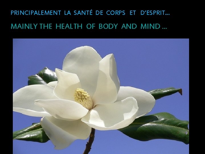 PRINCIPALEMENT LA SANTÉ DE CORPS ET D’ESPRIT. . . MAINLY THE HEALTH OF BODY