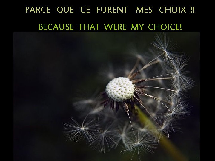 PARCE QUE CE FURENT MES CHOIX !! BECAUSE THAT WERE MY CHOICE! 