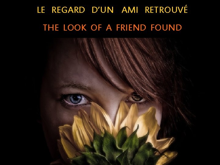 LE REGARD D’UN AMI RETROUVÉ THE LOOK OF A FRIEND FOUND 