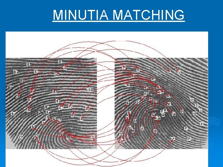 MINUTIA MATCHING 