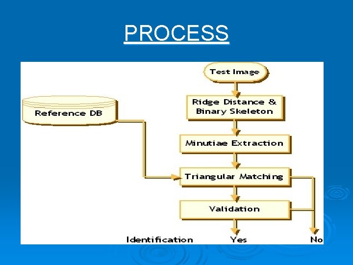 PROCESS 