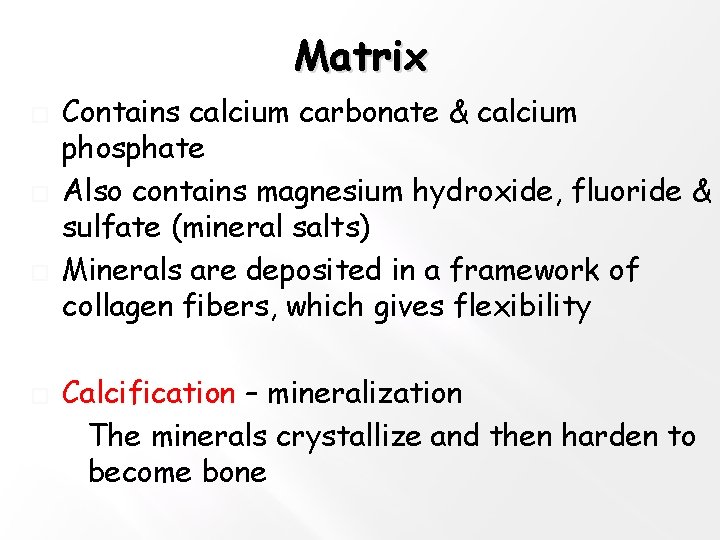 Matrix � � Contains calcium carbonate & calcium phosphate Also contains magnesium hydroxide, fluoride