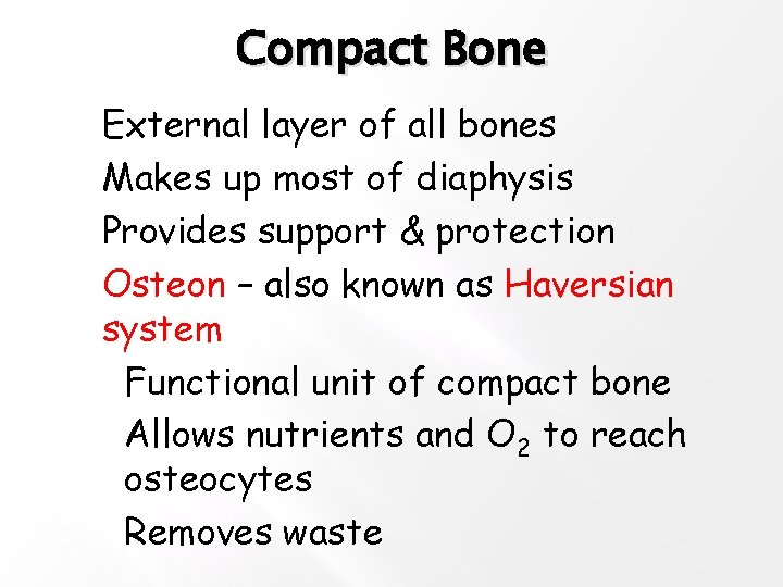 Compact Bone �External layer of all bones �Makes up most of diaphysis �Provides support