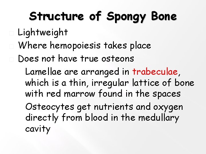 Structure of Spongy Bone � � � Lightweight Where hemopoiesis takes place Does not