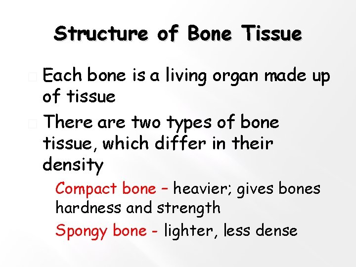 Structure of Bone Tissue Each bone is a living organ made up of tissue