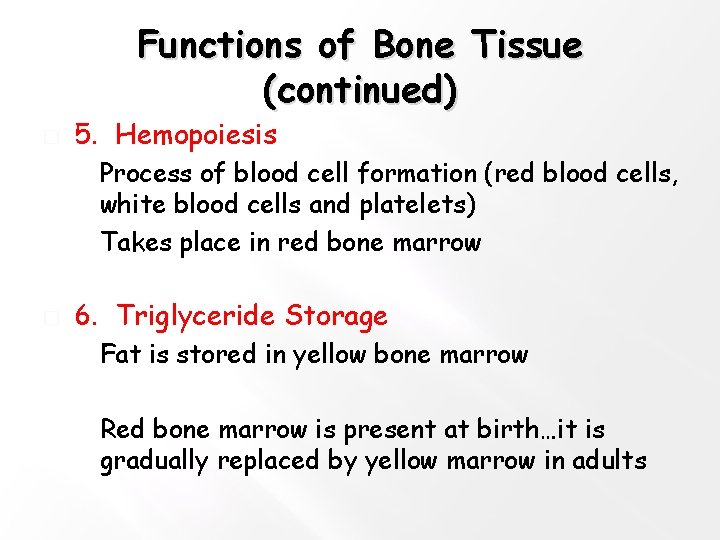 Functions of Bone Tissue (continued) � 5. Hemopoiesis � Process of blood cell formation
