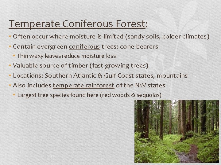 Temperate Coniferous Forest: • Often occur where moisture is limited (sandy soils, colder climates)