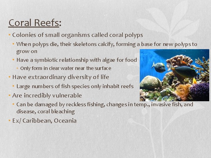 Coral Reefs: • Colonies of small organisms called coral polyps • When polyps die,