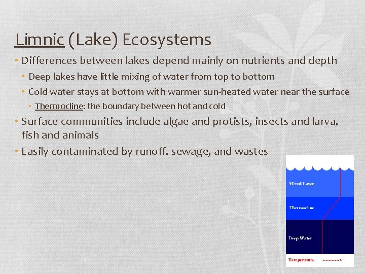 Limnic (Lake) Ecosystems • Differences between lakes depend mainly on nutrients and depth •