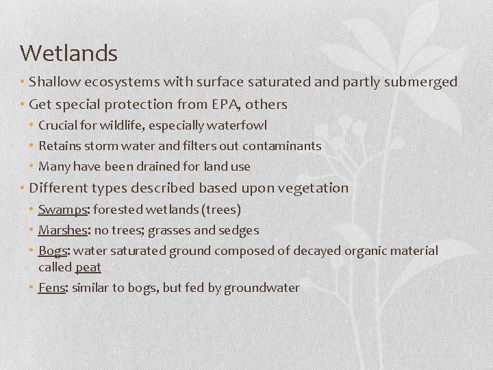 Wetlands • Shallow ecosystems with surface saturated and partly submerged • Get special protection