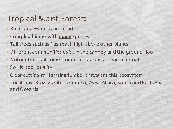 Tropical Moist Forest: • Rainy and warm year-round • Complex biome with many species