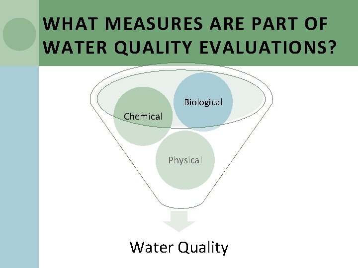 WHAT MEASURES ARE PART OF WATER QUALITY EVALUATIONS? Biological Chemical Physical Water Quality 