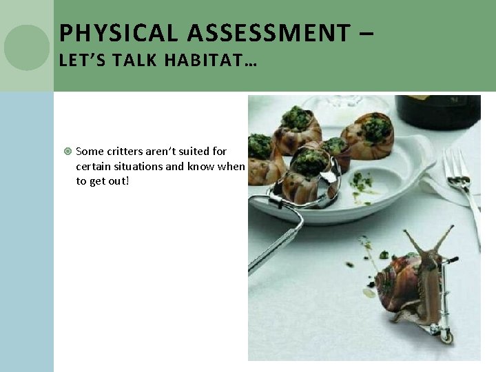 PHYSICAL ASSESSMENT – LET’S TALK HABITAT… Some critters aren’t suited for certain situations and