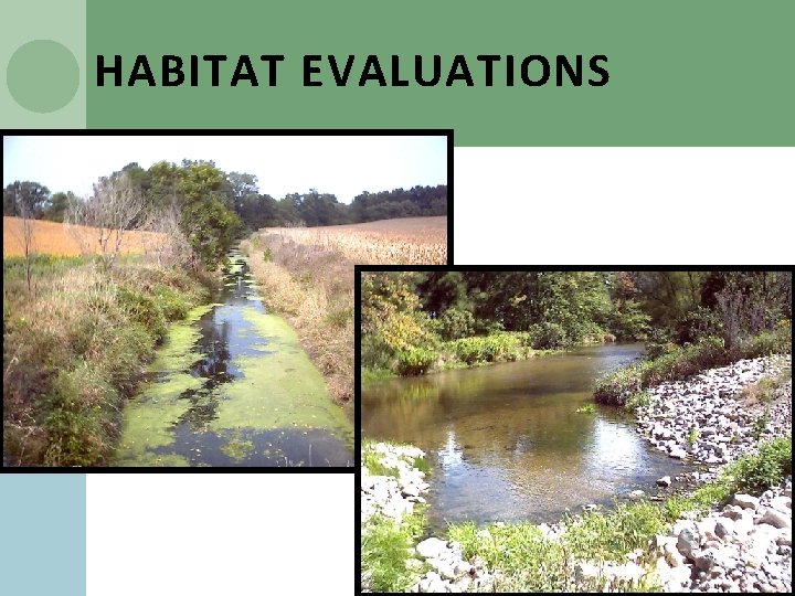 HABITAT EVALUATIONS 