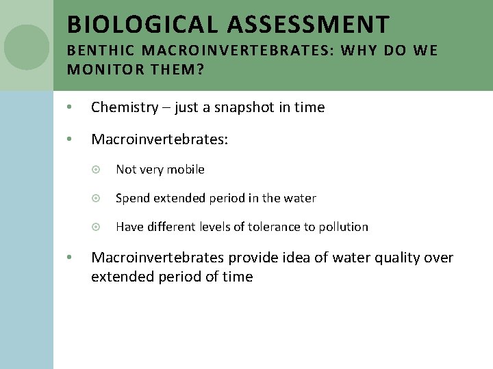 BIOLOGICAL ASSESSMENT BENTHIC MACROINVERTEBRATES: WHY DO WE MONITOR THEM? • Chemistry – just a