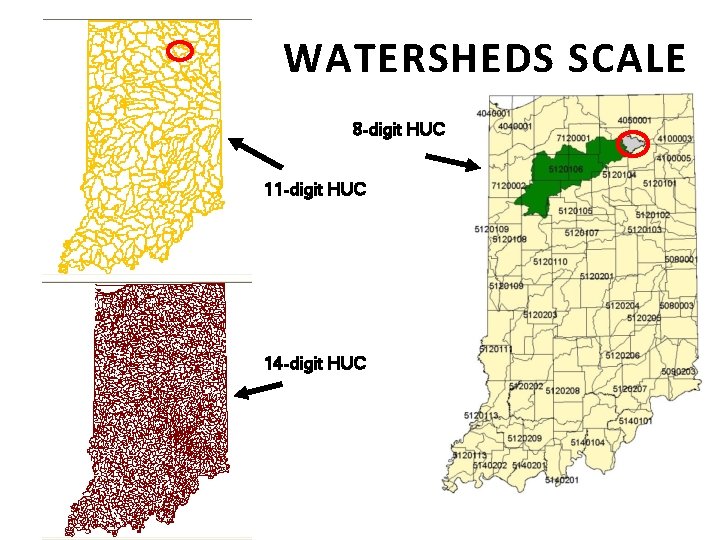 WATERSHEDS SCALE 8 -digit HUC 11 -digit HUC 14 -digit HUC 